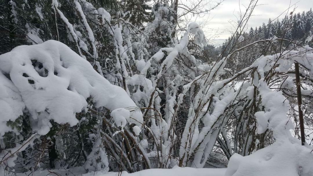 résidence vallée des lacs Le Tholy Esterno foto